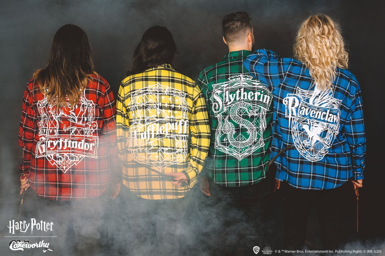 Which Hogwarts House are you- Cakeworthy Style