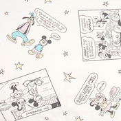 Mickey Mouse and Friends Comic Sheet Set