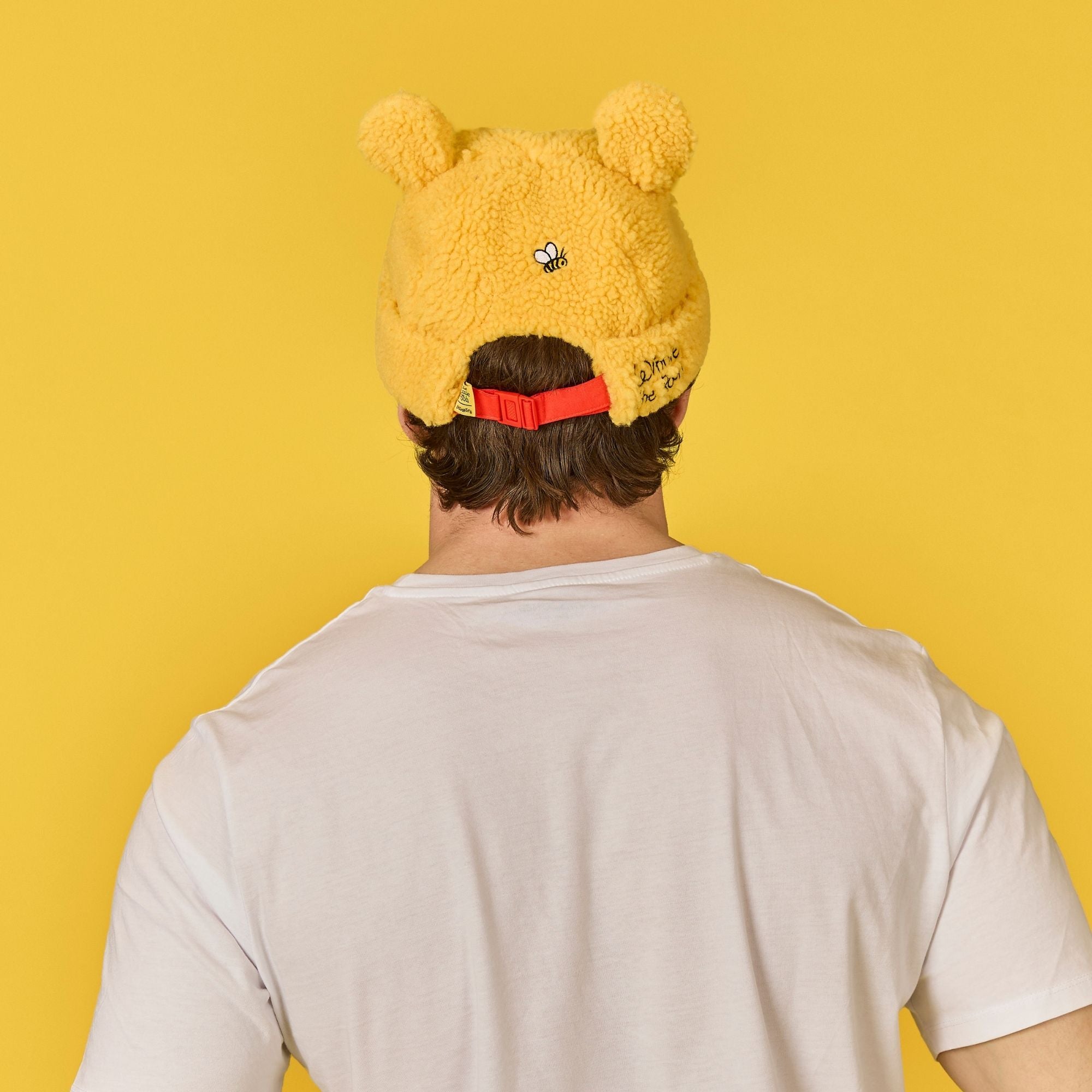 WinniethePoohResizes_24.jpg